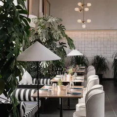 The seating along the wall at Brassa combines striped banquettes with clean, modern chairs. The space is filled with lush monstera plants, enhancing the restaurant's fresh, botanical theme.