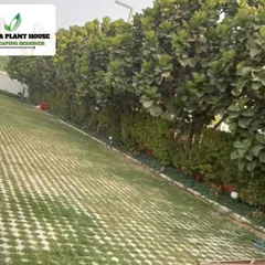 A sloped lawn created with turf-reinforcing pavers, allowing grass to grow through a structural grid for stability and erosion control.