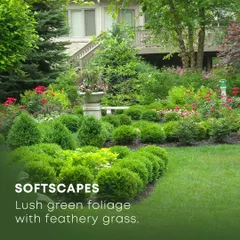 Softscaping is the living part of our designs. This image shows a beautiful example of well-planned softscapes, with manicured spherical shrubs and layered foliage creating a lush, green, and deeply textured garden bed.