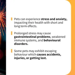 This infographic details the negative impacts of loud noises on pets, including stress, gastrointestinal problems, and behavioral disorders. Understanding these effects is the first step to helping your pet feel secure.