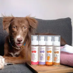 Here’s the lovely Simi posing like a pro for Furrfresh pet perfumes. I specialize in creating clean, engaging product photography that places your items and the adorable pet model in the perfect light.
