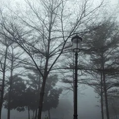 The bare branches of a tree and a classic lamppost stand against a foggy backdrop. This image has a timeless, almost cinematic quality, capturing the quiet beauty of a winter day.