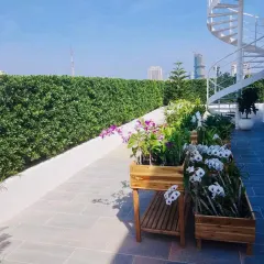 A sunny rooftop terrace featuring a tall hedge for privacy and wooden planters filled with beautiful orchids. This design shows how to create a sophisticated and elegant city garden.