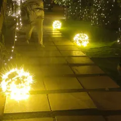As night falls, our pathways are lit with glowing orbs, creating an enchanting and magical atmosphere for an evening stroll through the resort.