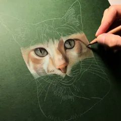A work-in-progress shot of a color pencil cat portrait on green paper. At this stage, I have established the eyes and nose, which are the anchor points for capturing the pet's likeness and expression.