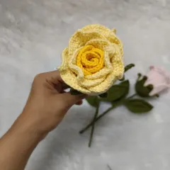 A detailed look at the yellow dual-color rose, with a bright yellow center.