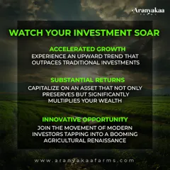 This infographic breaks down the key financial drivers of our farmland investments: accelerated growth that outpaces traditional assets, substantial returns that multiply wealth, and an innovative opportunity to join a modern agricultural renaissance.