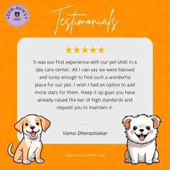 "I wish I had an option to add more stars for them." This wonderful 5-star review from Vamsi highlights his first daycare experience with his pet, Shibi. We are so happy we could provide such a positive and blessed experience.