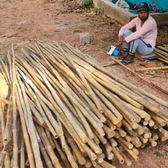 A pile of treated bamboo, the primary material for the iconic parasols at the TAPMI Centre. Our commitment to using local and natural materials is central to our design process.