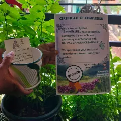 We are proud to celebrate a one year annual maintenance contract with a happy client. This certificate is a symbol of the trust our customers place in us to consistently care for their gardens and keep them healthy.