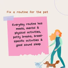 This graphic explains the importance of a fixed routine for your pet, including meals, activities, and sleep. Structure and predictability are key to a calm and secure dog.