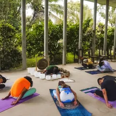 In this transformative sound bath in nature, participants surrender to the peaceful energy of the outdoors. The session, held at a community brunch, blended the rhythm of nature with the vibrations of crystal and Tibetan bowls for a moment of deep connection and serenity.