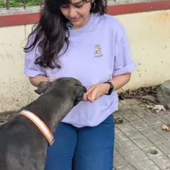 Gently hand feeding a treat to a street dog. Building trust with a cautious dog requires patience, quiet body language, and tasty rewards. It's a reminder to be kind to all kinds.