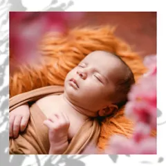 In the quiet moments of sleep, a newborn's purity shines brightest. This is a classic newborn portrait, focusing on the delicate features and serene expression that you will want to remember forever.