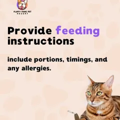 Clear feeding instructions are crucial. We follow your directions on portions, timings, and allergies to the letter, and we provide fresh, home-cooked meals daily.