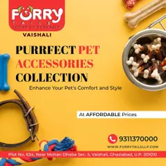 Discover our collection of pet accessories designed for comfort, play, and style. We offer a curated selection of durable toys, comfortable collars, and tasty chew bones to keep your furry friend happy and engaged.