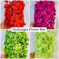 Our dried hydrangea flower boxes are available in a wide range of colors. This image shows our bright red, magenta, and two shades of green, perfect for any color palette.