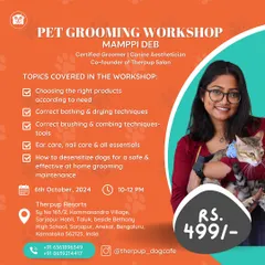 We regularly host grooming workshops for pet parents. Learn from our co-founder and head groomer, Mamppi Deb, about choosing the right products, correct bathing techniques, and at-home maintenance.
