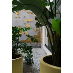 The courtyard wall of the VIP dining area at Campus Biovet is clad with custom cement tiles in shades of yellow and grey. This detail adds a unique, artistic pattern to the space and complements the lush tropical landscape.