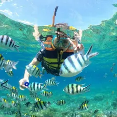 Find your bliss snorkeling in the warm, tropical waters of Thailand. We can build the perfect island-hopping itinerary for you.