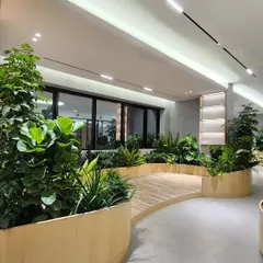 The combination of light wood, concrete, and abundant greenery creates a modern, calm, and productive atmosphere in this Hyderabad office we designed.