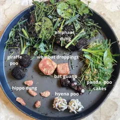 We are not afraid to get silly and talk about things that fascinate toddlers, like animal poo! This sensory activity lets kids explore different textures and learn about animal diets in the most hilarious and memorable way.