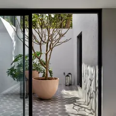 One of the five open-to-sky courtyards in the Mango Orchard House. These spaces act as light wells, drawing sunlight deep into the home and creating private pockets of nature.