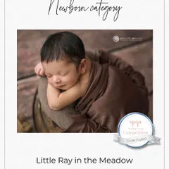 This image, "Little Ray in the Meadow," received a Silver Award in the Newborn category. This award reflects my dedication to creating serene and artistic portraits of newborns.