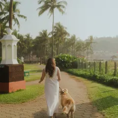 A shot from behind showing the bride in a white dress walking her golden retriever down a path lined with palm trees. This image tells a story of companionship and peaceful moments.
