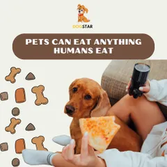 One of the biggest myths is that pets can eat anything humans eat. Many human foods, like pizza, can be harmful or even toxic to pets, so it is crucial to stick to a diet formulated for them.