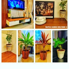 Bringing the outdoors in can completely change the feel of your home. Here, we've styled a living space with a variety of indoor plants, including cordyline and ficus, using decorative pots and stands to complement the home's interior design and purify the air.