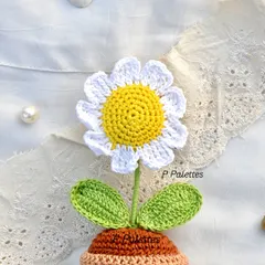 A close-up of our sweet potted crochet daisy. The clean white petals and sunny yellow center bring a fresh, happy vibe.