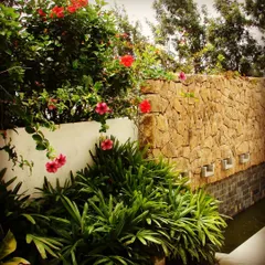 A natural random rubble stone wall paired with flowering shrubs. We often use local stone in our Bangalore projects, as it is durable, sustainable, and adds a timeless, rustic texture to the garden.