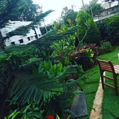 This garden in Chandapura, pictured a few months after setup, shows how our designs mature. The combination of a healthy lawn, a wooden bench, and carefully shaped shrubs like the topiary creates a peaceful and established look.