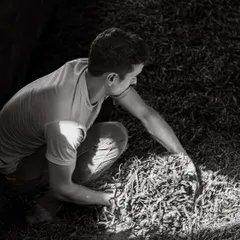A young man sifts through a large pile of dried red chilies, the sunlight catching the texture of the spices.