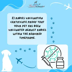 A rabies vaccination certificate is another crucial document. This serves as proof that your pet has been vaccinated against rabies within the required timeframe, a key step for entry into most countries.
