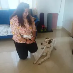 So proud of Frankie for completing his puppy basics program! His parents were incredibly diligent with their homework, which is the secret to success. We worked together as a team to help him become a well-behaved boy.