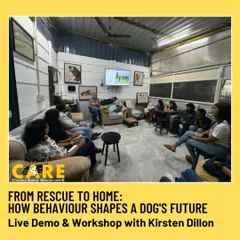 The theory session in progress. Participants at our workshop with Kirsten Dillon learn about the nuances of dog behavior in a comfortable, interactive setting. These educational events are designed for rescuers, foster parents, and trainers.