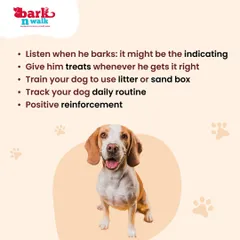 Potty training a puppy can be a challenge, but consistency is everything. This graphic provides some of our go-to tips, like using positive reinforcement and tracking their routine, to help you achieve a clean home.