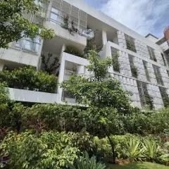Here you can see how architecture and landscape can merge over time. This building, revisited after a few years, shows the greenery flourishing and integrating with the structure, creating a living facade that softens the built form.