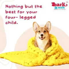 We provide nothing but the best for your four-legged child, especially during Delhi's winters. Our cozy cabins ensure they stay warm and comfortable throughout their stay.