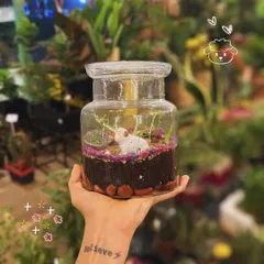 This terrarium in a jar holds a tiny world with a small sheep figurine. The layers of soil, moss, and colourful pebbles make it a delightful decorative piece.