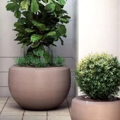 Our polymer planters are stylish, durable, and weather-resistant. These large, rounded pots are perfect for making a statement with a fiddle leaf fig or a neatly trimmed topiary.