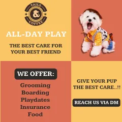We offer more than just grooming. Our services include safe and fun boarding, exciting playdates, pet insurance options, and a variety of healthy food choices. We are here to provide the best care for your best friend.