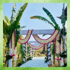 We designed this beautiful and authentic South Indian wedding entrance. The structure is adorned with traditional banana leaves and long garlands of jasmine and tuberose flowers, creating a fresh and fragrant welcome.