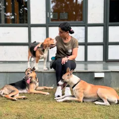 A moment of connection during a group session. My goal is to build a relationship based on trust and clear communication with every dog.