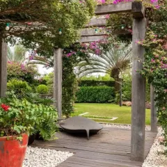 A rustic wooden pergola creates an intimate seating area, enveloped by flowering bougainvillea climbers. This is a perfect example of how I use hardscaping and softscaping to build beautiful and functional outdoor living rooms.