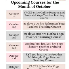 The October schedule is here. Choose from a wide range of teacher training courses, including Prenatal, Ashtanga, Hatha, and Yin Yoga.
