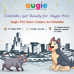 Colombo, get ready for Augie Pets! We are so excited to announce the grand opening of our newest store in Colombo, Sri Lanka. Join us to discover a world of compassionate pet care.