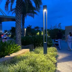 Landscape lighting is crucial for transforming a space after sunset. Here, I used sleek, modern bollard lights to illuminate pathways and highlight the textures of the ornamental grasses and palm trees, ensuring the landscape is safe, inviting, and dramatic at night.